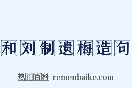 和刘制遗梅造句是什么意思的图片